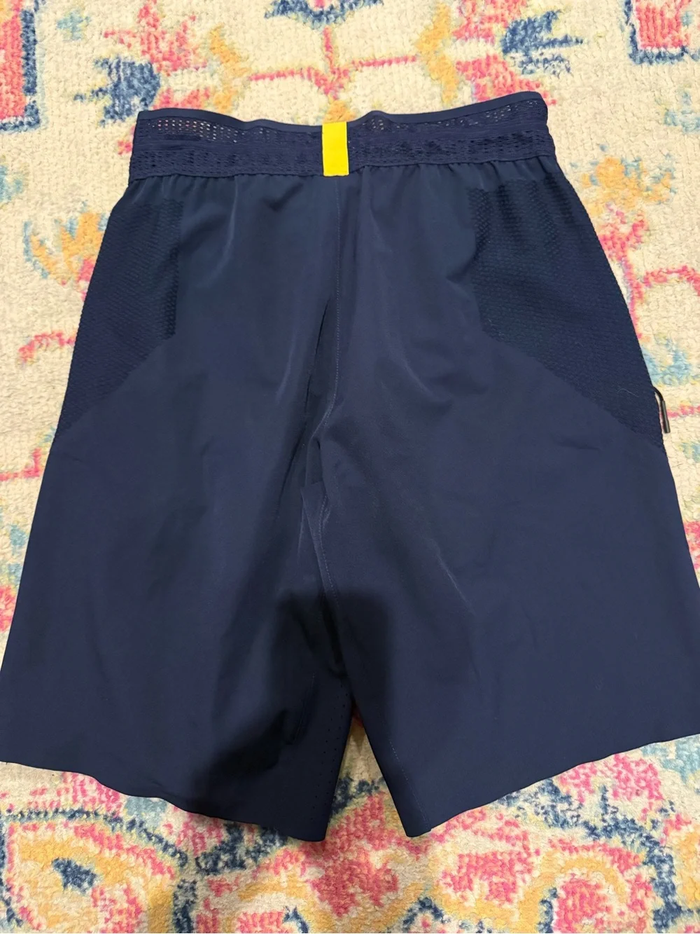 Jordan Men's Michigan Shorts